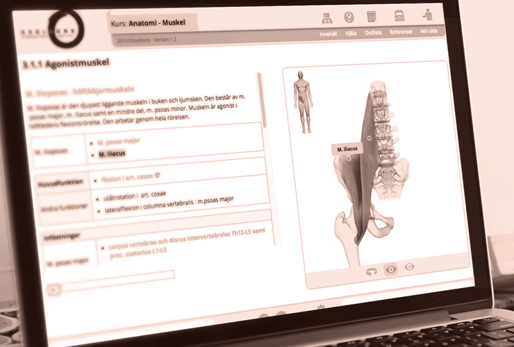 Axelsons e-learning platform — image 1